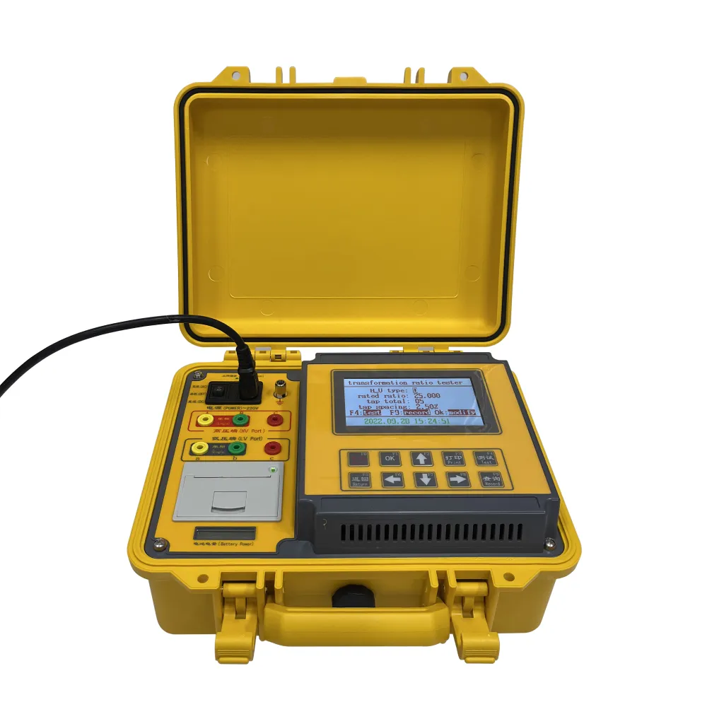 potential transformer testing pdf